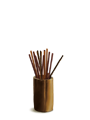  ͳݱ